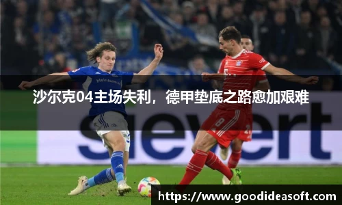 金年会下载