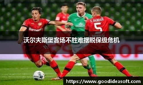 金年会下载
