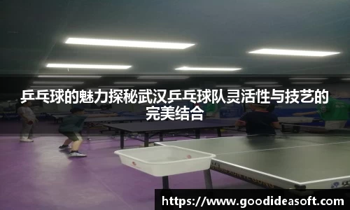 金年会下载