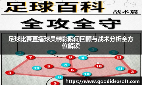 金年会下载