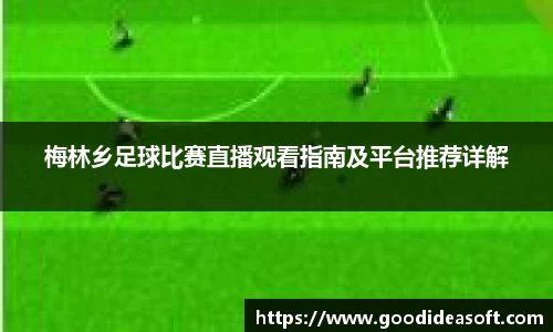 金年会下载