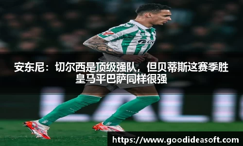 金年会下载