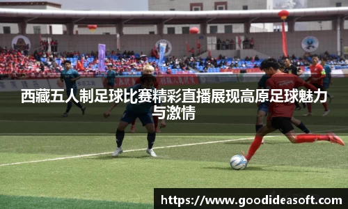 金年会下载